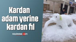 Kardan adam yerine kardan fil