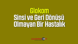 Glokom Sinsi ve Geri Dönüşü Olmayan Bir Hastalık