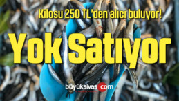 Kilosu 250 TL’den alıcı bulan kalkan, yok satıyor