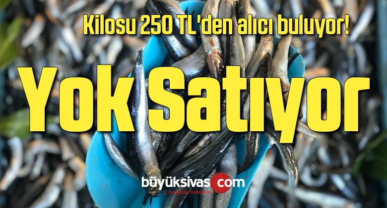 Kilosu 250 TL’den alıcı bulan kalkan, yok satıyor