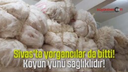 Koyun yünü gitti fabrikasyon üretim yataklar yorganlar geldi!