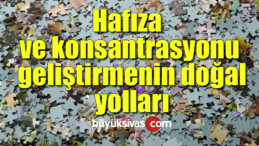 Hafıza ve konsantrasyonu geliştirmenin doğal yolları