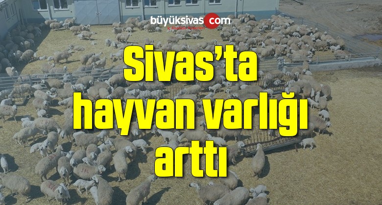 Sivas’ta hayvan varlığı arttı