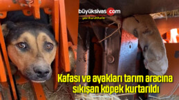 Kafası ve ayakları tarım aracına sıkışan köpek kurtarıldı