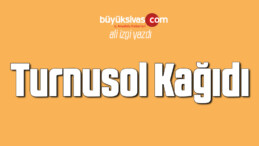 Turnusol Kağıdı