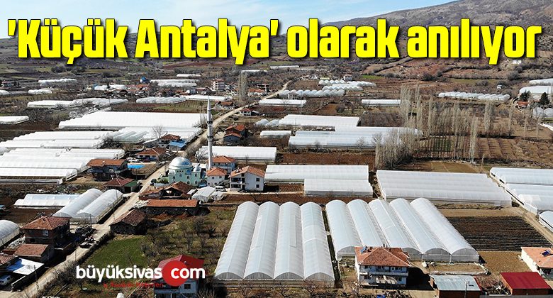 ‘Küçük Antalya’ olarak anılıyor, köyün tamamına yakını sera ile kaplı