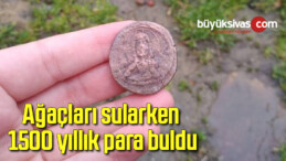 Ağaçları sularken 1500 yıllık para buldu