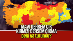 Türkiye’nin Merakla Beklediği Koronavirüs Risk Haritası