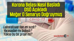 Korona Belası Nasıl Başladı, DSÖ Açıkladı Meğer O Senaryo Doğruymuş