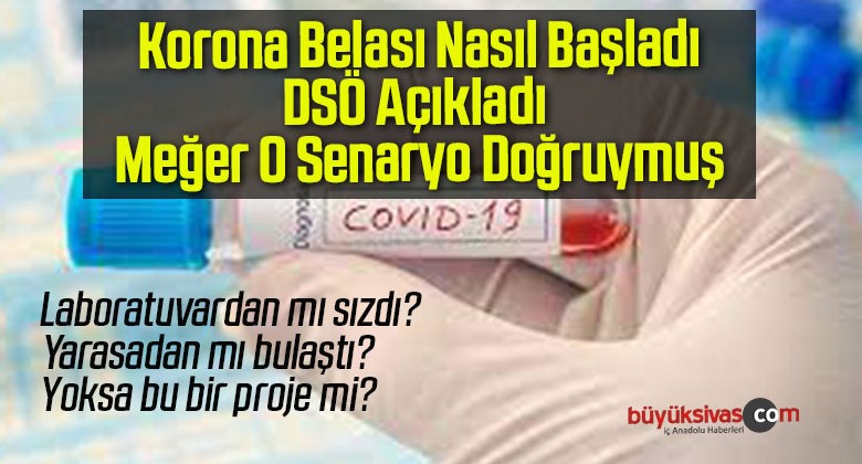 Korona Belası Nasıl Başladı, DSÖ Açıkladı Meğer O Senaryo Doğruymuş