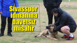 Sivasspor idmanına davetsiz misafir