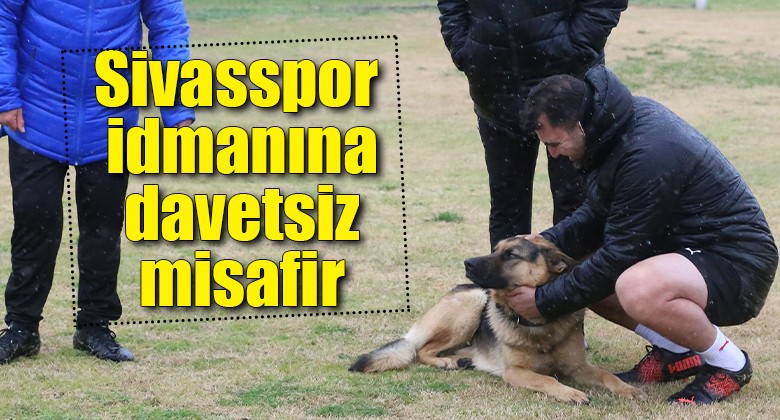 Sivasspor idmanına davetsiz misafir