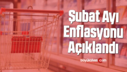 Şubat Ayı Enflasyonu Açıklandı