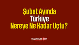 Şubat Ayında Türkiye Nereye Ne Kadar Uçtu?