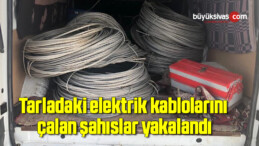 Tarladaki elektrik kablolarını çalan şahıslar yakalandı