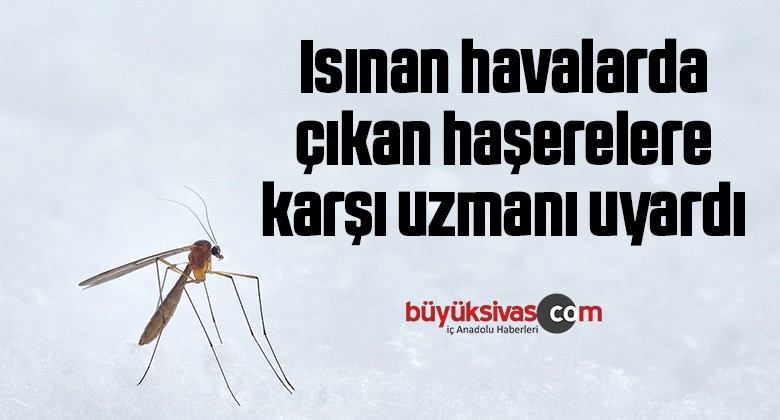 Isınan havalarda çıkan haşerelere karşı uzmanı uyardı