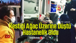 Kestiği Ağaç Üzerine Düştü, Hastanelik Oldu