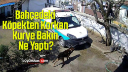 Bahçedeki Köpekten Korkan Kurye Bakın Ne Yaptı?