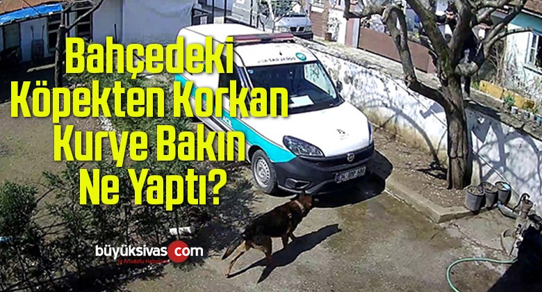 Bahçedeki Köpekten Korkan Kurye Bakın Ne Yaptı?