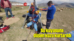 Su kuyusuna düşen kuzu kurtarıldı