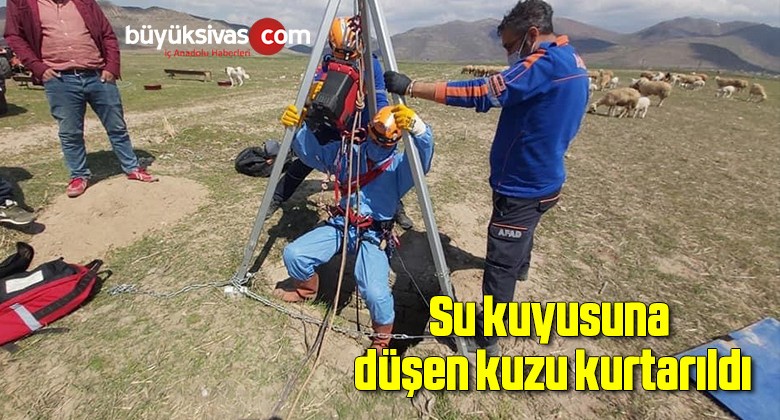 Su kuyusuna düşen kuzu kurtarıldı