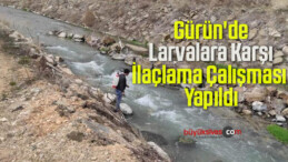 Gürün’de Larvalara Karşı İlaçlama Çalışması Yapıldı