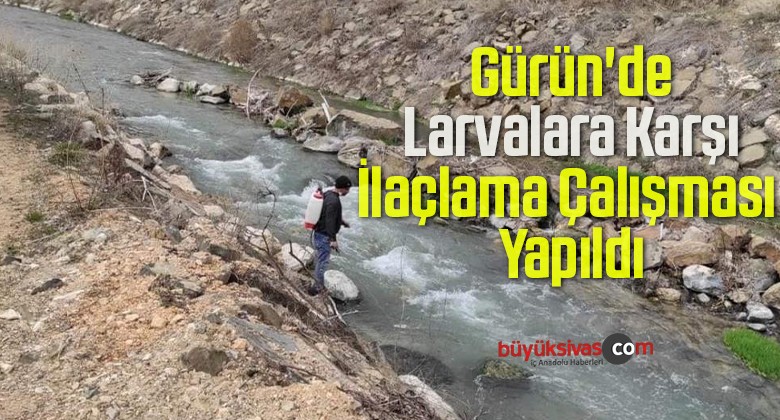 Gürün’de Larvalara Karşı İlaçlama Çalışması Yapıldı