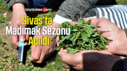 Sivas’ta Madımak Sezonu Açıldı