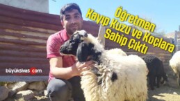 Öğretmen Kayıp Kuzu ve Koçlara Sahip Çıktı, Sahibini Arıyor