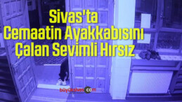 Sivas’ta Cemaatin Ayakkabısını Çalan Sevimli Hırsız