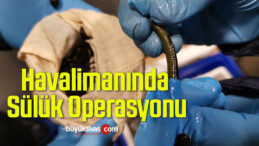 Havalimanında Sülük Operasyonu