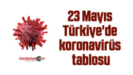 23 Mayıs Türkiye’de koronavirüs tablosu
