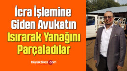 Avukat, yanağından ısıran şahsın aldığı cezaya isyan etti