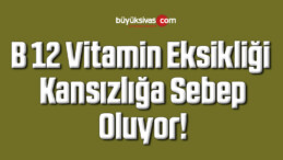 B 12 Vitamin Eksikliği Kansızlığa Sebep Oluyor! 