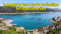 Yılda 5 bin 500 ton üretiliyor, yurt dışına gönderiliyor