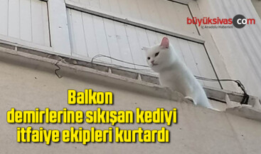 Balkon demirlerine sıkışan kediyi itfaiye ekipleri kurtardı