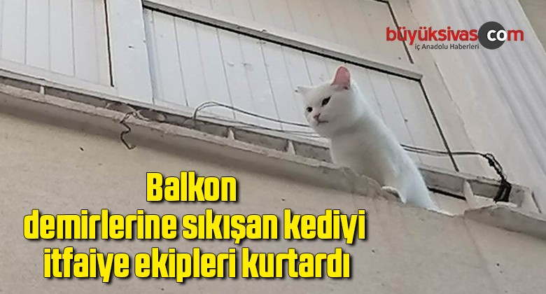 Balkon demirlerine sıkışan kediyi itfaiye ekipleri kurtardı