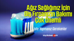 Ağız Sağlığınız İçin Diş Fırçanızın Bakımı Çok Önemli