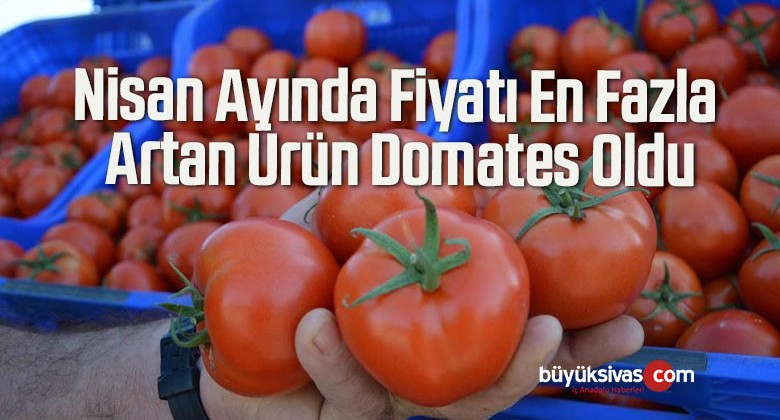 Nisan Ayında Fiyatı En Fazla Artan Ürün Domates Oldu