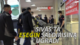 Sivas’ta bağlamaya çalıştığı eşeğin saldırısına uğrayarak yaralandı