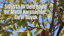 Sivas’ta İlk Defa Böyle Bir Afetle Karşılaştılar, Zarar Büyük