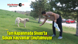 Tam Kapanmada Sivas’ta Sokak Hayvanları Unutulmuyor