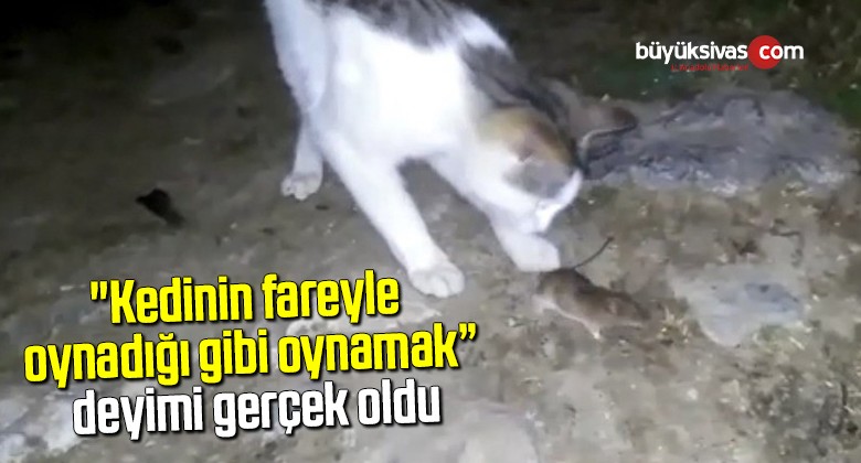 “Kedinin fareyle oynadığı gibi oynamak” deyimi gerçek oldu