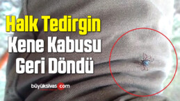 Halk Tedirgin, Kene Kabusu Geri Döndü