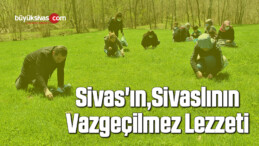 Sivas’ın Sivaslının Vazgeçilmez Lezzeti