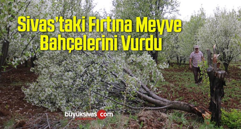 Fırtına Meyve Bahçelerini Vurdu, Yüzde 25 Ürün Kaybından Endişe Ediliyor