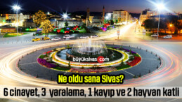 Sivas’ta son günlerde yaşanan 6 cinayet, 3  yaralama, 1 kayıp ve 2 hayvan katli