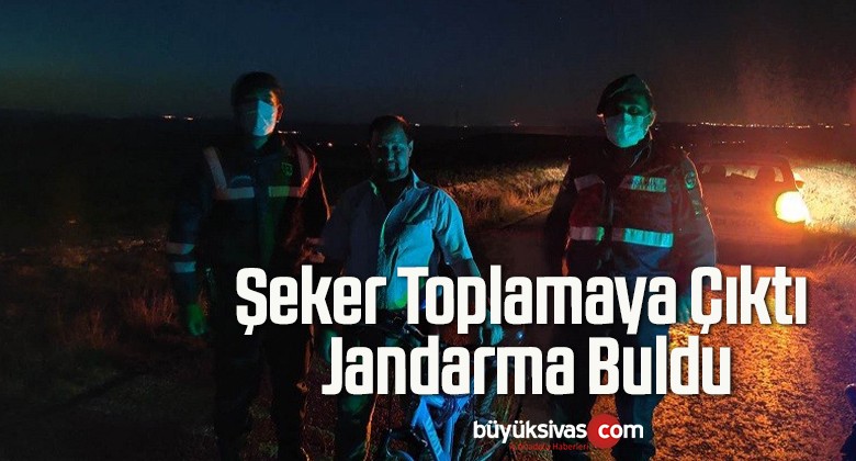 Şeker Toplamaya Çıktı, Jandarma Buldu