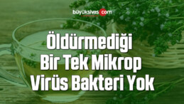 Öldürmediği Bir Tek Mikrop Virüs Bakteri Yok