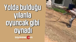 Yolda bulduğu yılanla oyuncak gibi oynadı